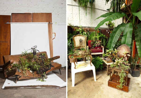 topfpflanzen pflegen bepflanzte polstermöbel studio