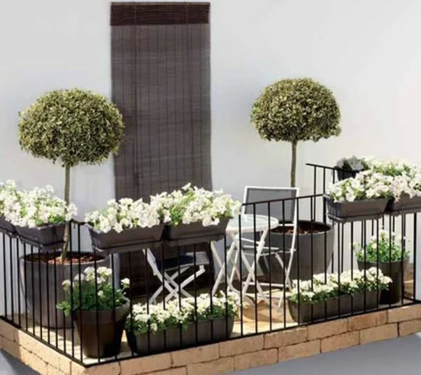 blumenkasten bepflanzen balkon italienisch
