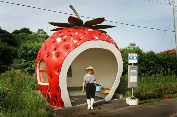 bushaltestelle japan erdbeere