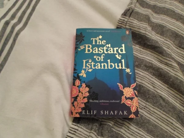 elif shafak weltliteratur the bastards of istanbul