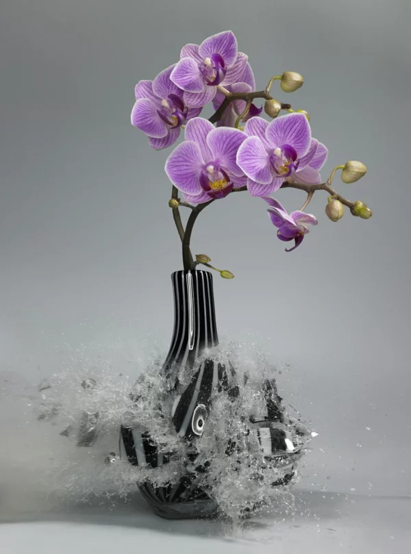 fotokunst geschossene vase orchidee
