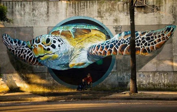 graffiti zeichnen buenos aires argentinien wasserschildkröte