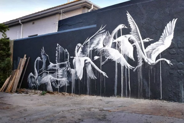 graffiti kunst kapstadt südafrika schwäne