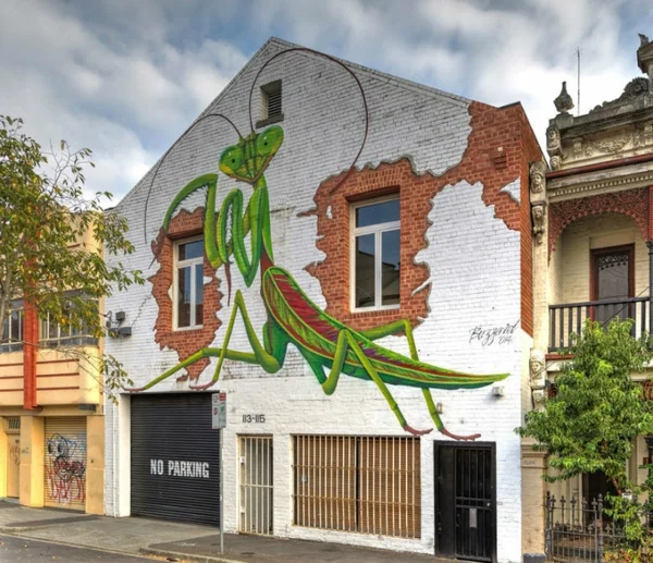 graffiti bilder melbourne australien gottesanbeterin