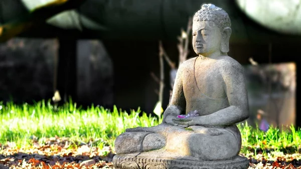 meditation lernen buddha statue