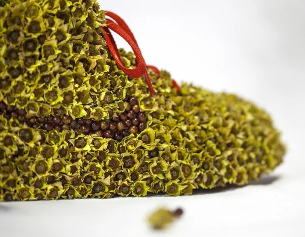 nike sneakers aus pflanzen christophe guinet nachhaltiges design