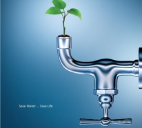 Wasser sparen – Tipps und clevere Wasser-Sparmöglichkeiten im Haushalt