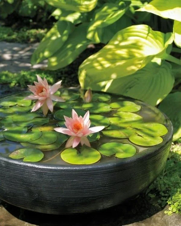 Zen Garten Anlegen japanische pflanzen lilie