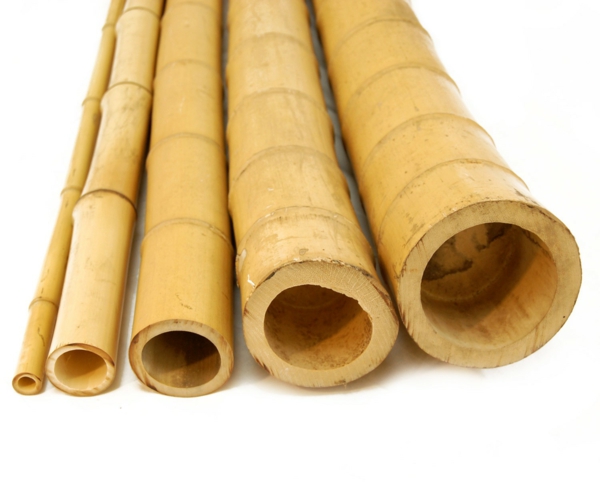 bambus deko stämme baumaterial naturfarbe