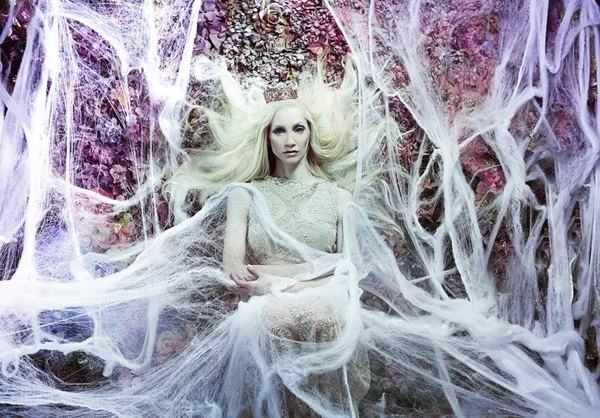 foto kunst königin weiße spinnwebe