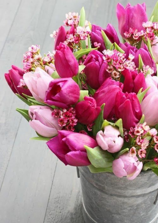 gartenkalender märz gartenarbeit frühlingsblumen tulpen