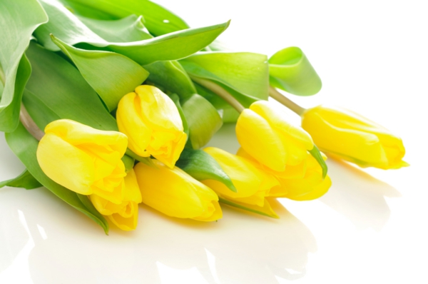 gelbe tulpen blumenstrauß geschenk ideen dekoideen
