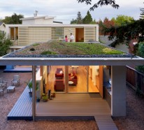 Grünes Dach – gute Isolierung und Nachhaltigkeit