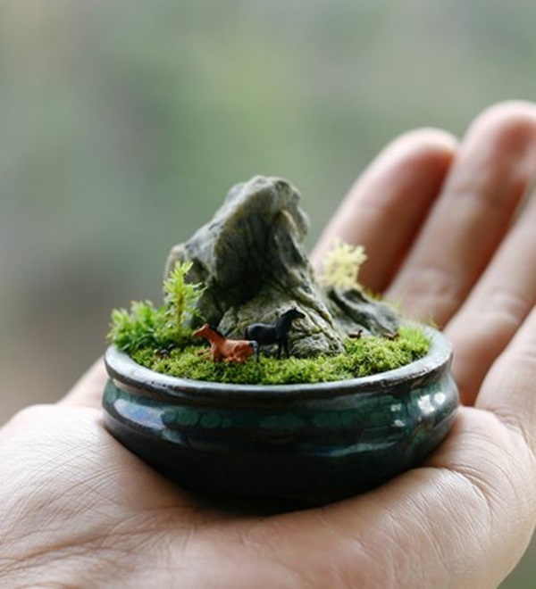 mini bonsai handvoll mini zen garten 