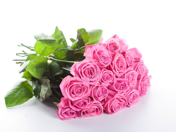 rosen bedeutung rosa farbe blumenstrauß