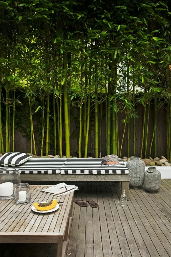 sichtschutzzaun gartengestaltung ideen lebendiger gartenzaun bambus
