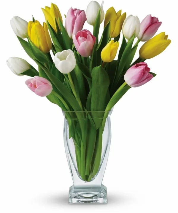 tulpen untzerschiedliche farben vase