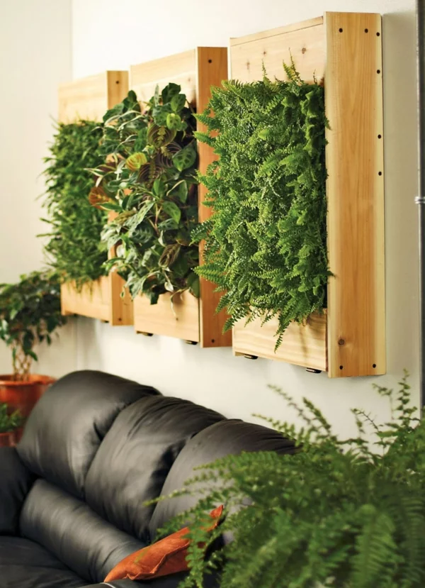 zimmerpflanzen bestimmen schwarzes ledersofa wohnzimmer