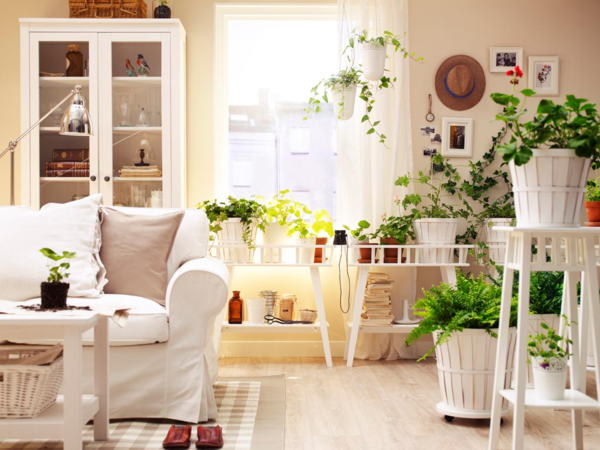 zimmerpflanzen bestimmen wohnzimmer dekorieren weißes sofa