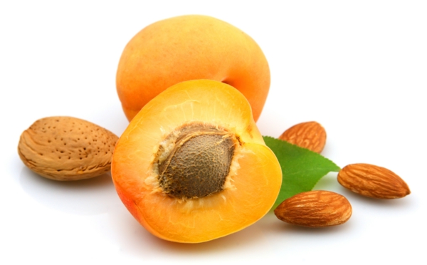 aprikosen nüsse essen gesund lifestyle
