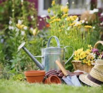 Die Gartenpflege im Frühling – Wissenswertes und praktische Tipps