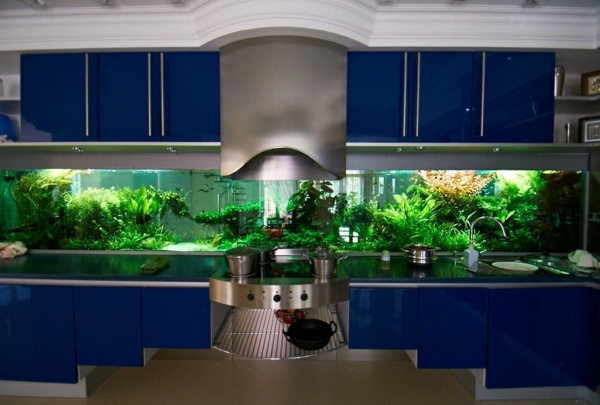 küchendesign blaue küchenschränke küchenrückwand aquarium