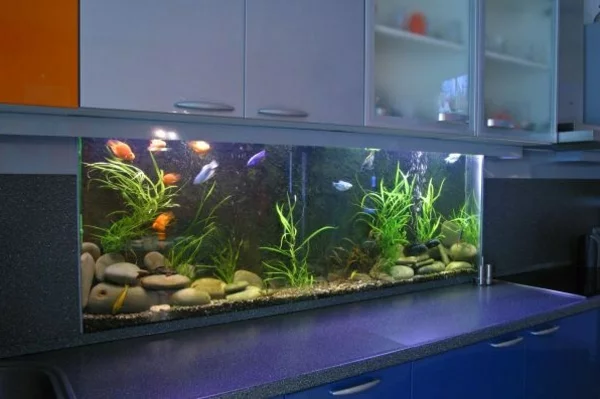 küchendesign küchenrückwand gestalten aquarium
