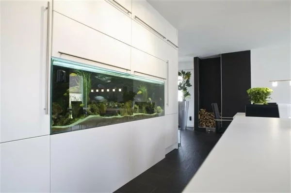 küchengestaltung weiß dekoideen aquarium pflanzen