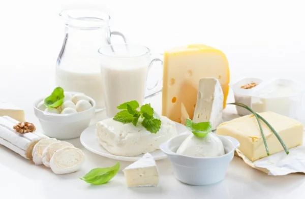 leckeres gesundes essen milchprodukte