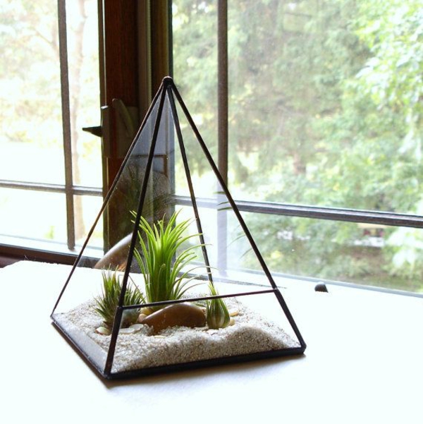 passende terrarium pflanzen glas gefäß pyramide steinchen