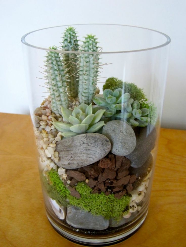 passende terrarium pflanzen glas gefäße steinchen moos