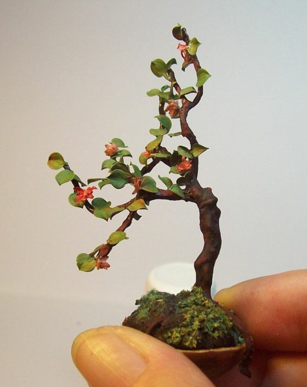 pflanzen mini bonsai baum azalea