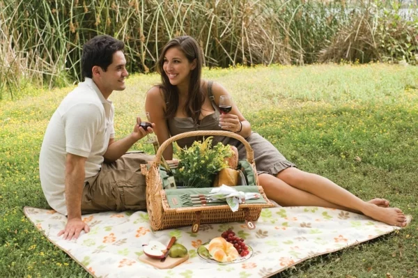 picknick freizeit genießen wein romantisch
