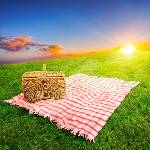 Die Picknickdecke - frische Muster für fröhliche Zeit im Freien