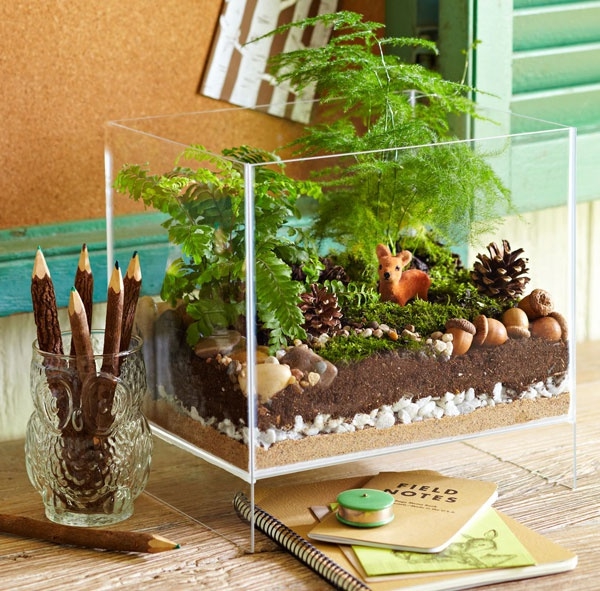 terrarium pflanzen glas gefäss rechteckig schreibtisch dekorieren