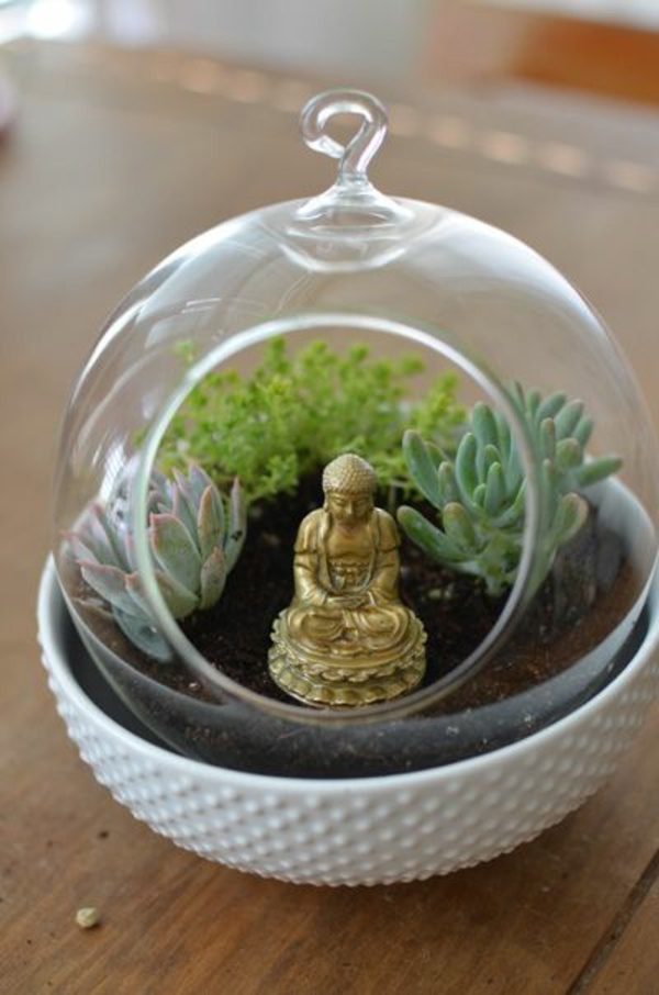 terrarium pflanzen glas gefässe rund buddha statue