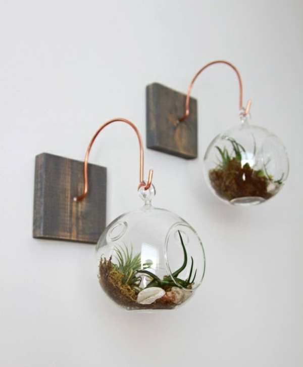 terrarium pflanzen glas gefässe rund hängend wanddeko ideen
