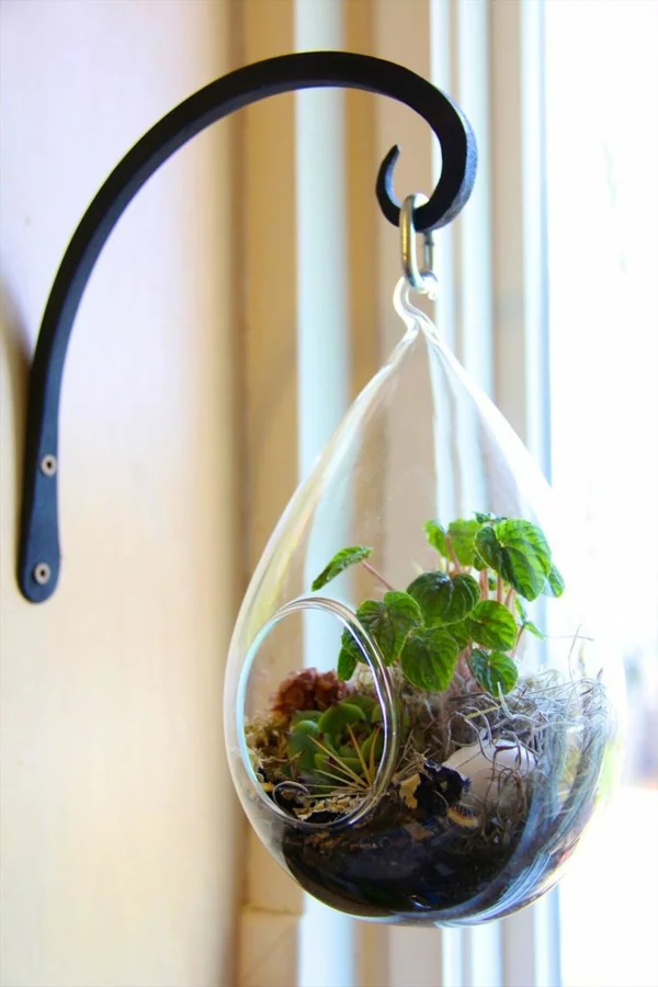 terrarium pflanzen glas gefäß oval hängend wanddeko ideen