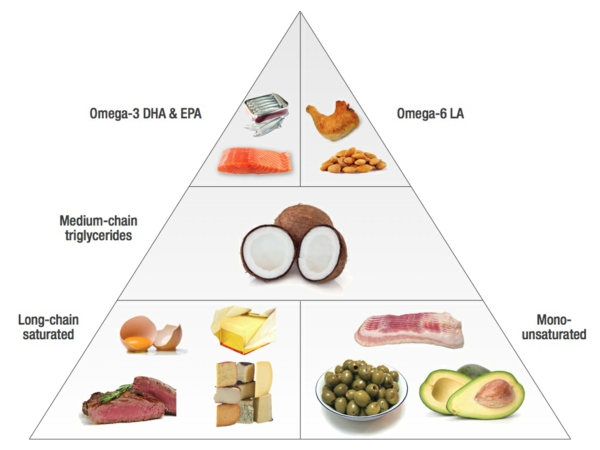 Gesunde Ernährung: das Verhältnis Omega 3 zu Omega 6 ...