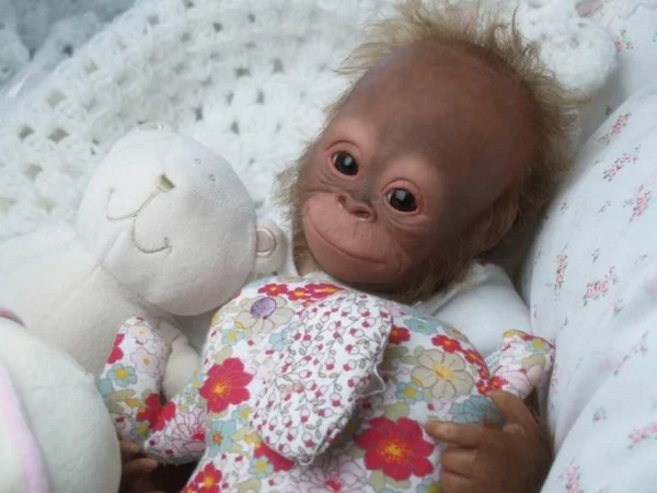 affe als haustier orang-utan baby