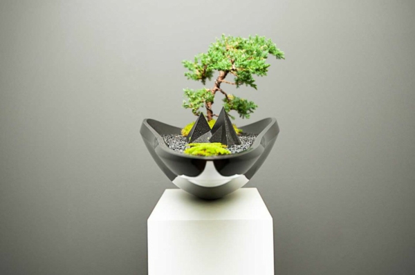 blumenkübel design bonsai baum adrian magu