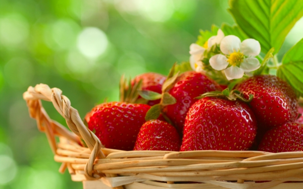 erdbeeren gesund früchte frisch korb