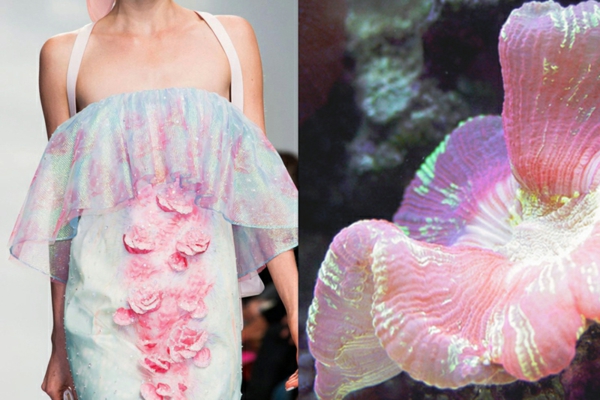 kunst fotografie fashion kleid koralle