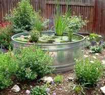 Mini Gartenteich bauen – kleine Oasen im Garten oder auf dem Balkon