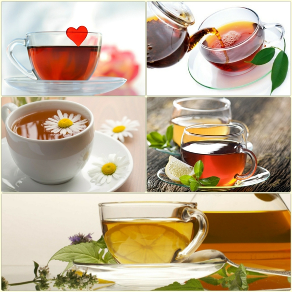 gesund leben tee trinken wirkung teearten