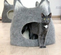 Verwöhnen Sie Ihre Hauskatze mit einem kuschelweichen Katzen-Bett
