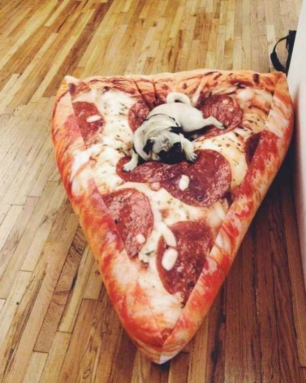 hundebett selber bauen bodenkissen pizza muster