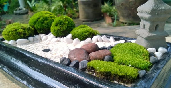 kleine gärten anlegen zen garten miniatur