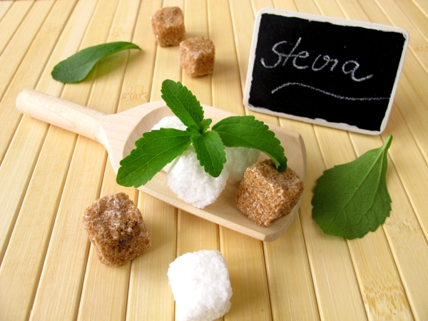kuchen ohne zucker stevia pflanze zucker