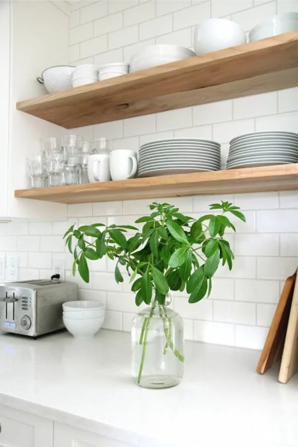 küchenregale design weiße wandfliesen pflanze